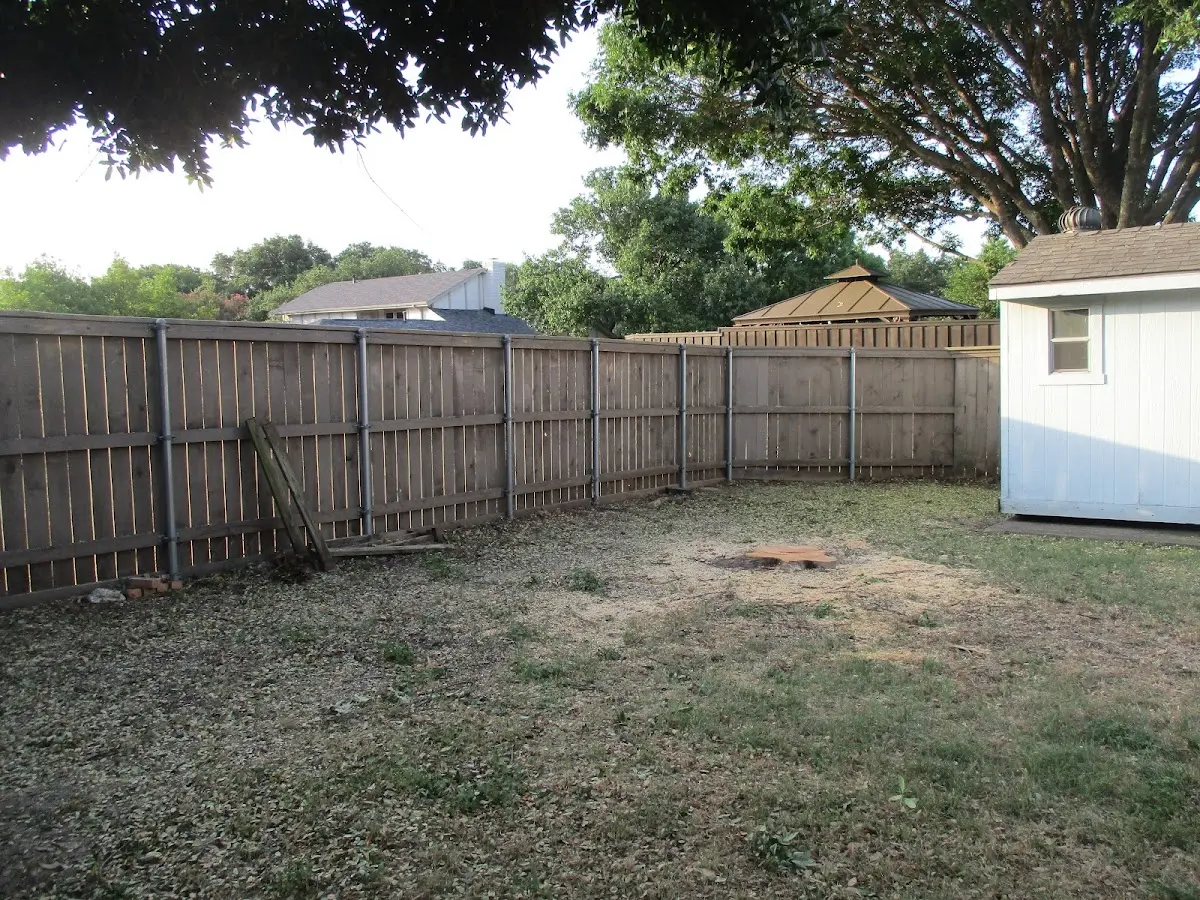 Cleared yard after professional tree removal in Theodosia