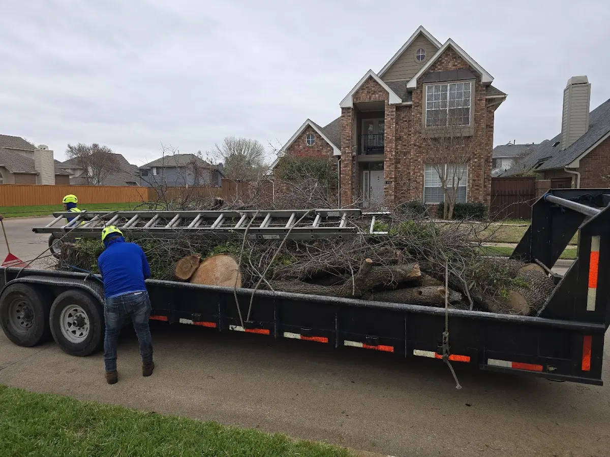 Expert Tree Fertilization with proper safety equipment in Theodosia